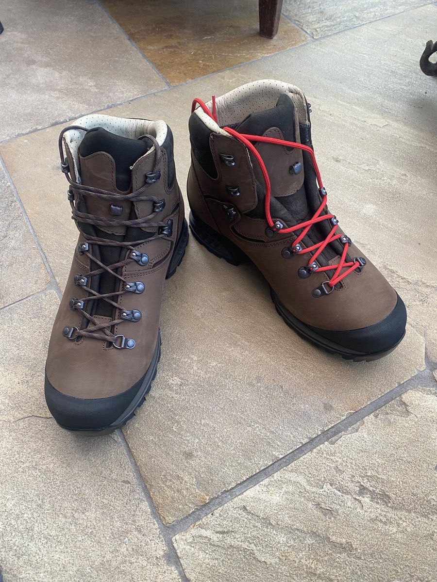 John Green tweet media