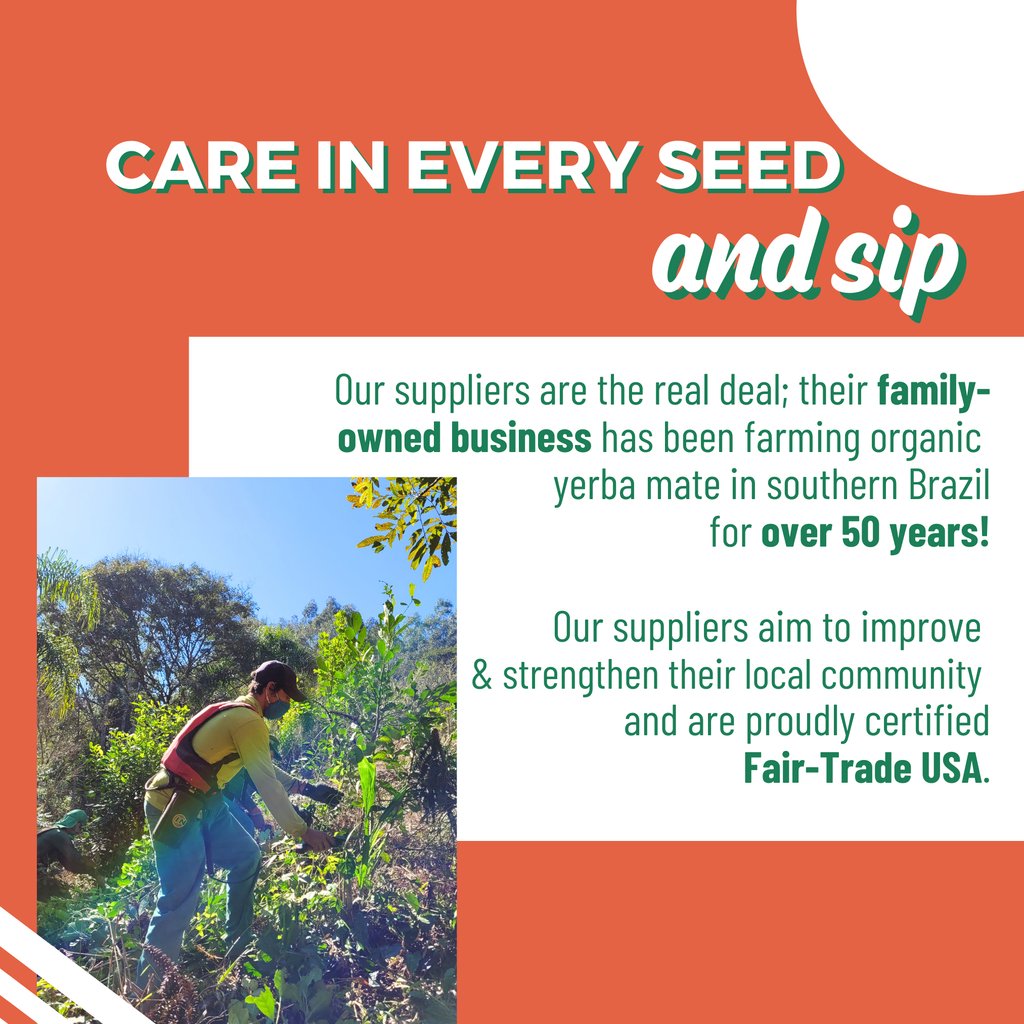 cleancause's tweet photo. What is yerba mate anyways? Besides being fun to say, it's also the delicious jitter-free caffeine source in all of our 16oz cans. ⁠
⁠
Swipe to learn more about that mate magic 💫 🌱 ⁠
⁠
⁠
⁠
#YerbaMate #CLEANCause #Organic https://t.co/OXuPkcCmuc