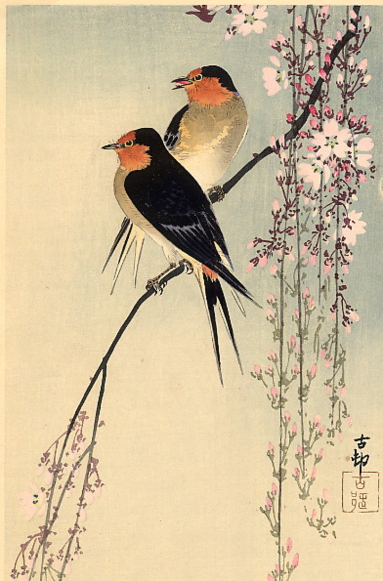 Frank Grayson (@frankgrayson54) on Twitter photo 