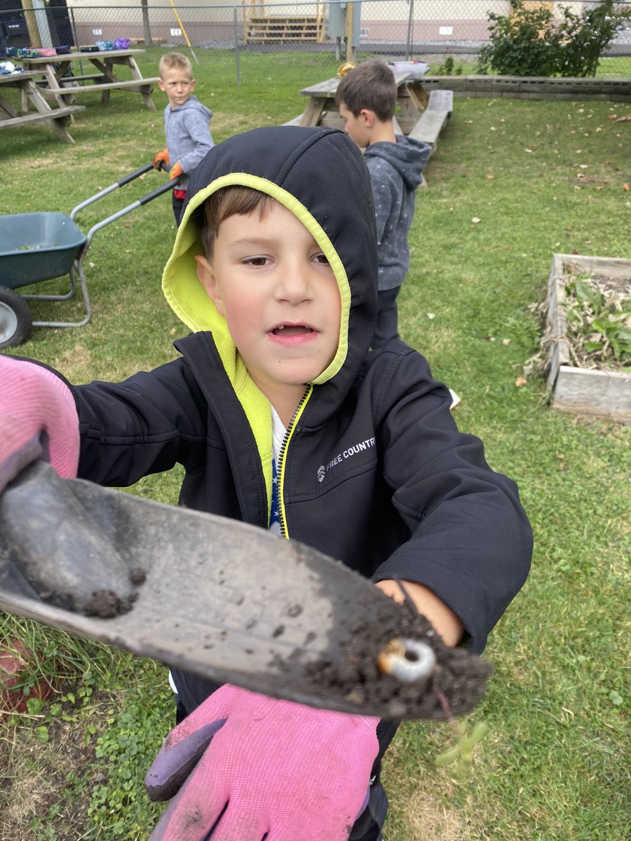 Prepping the garden beds for winter…but mostly just getting distracted and excited by all of the worms! 😜 #schoolgardens #slowfood #handsonlearning #outdooreducation @ComoParkSchool @MollyMarcinelli