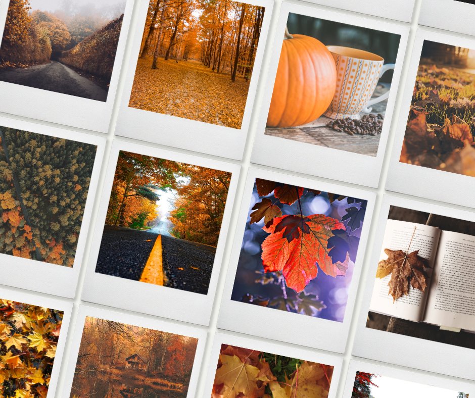 AUTUMN MORNINGS🍂
colors dancing and 
raindrops falling,
sunshine and crisp air,
pies baking and 
coffee brewing,
sips of cider and
family around the fire.

It's officially fall!