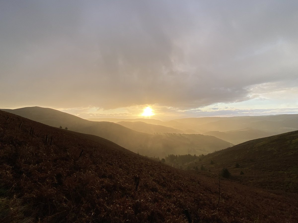 Paul Fitzsimmons tweet media