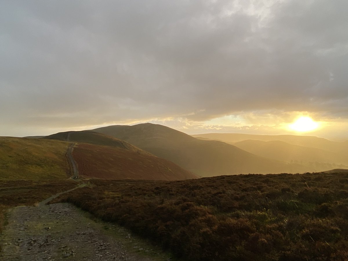 Paul Fitzsimmons tweet media