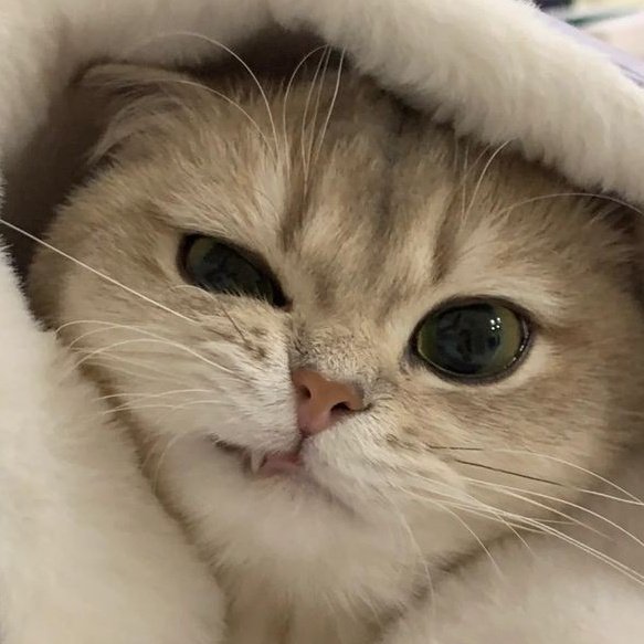 😵‍💫😵‍💫
#G22ALFEA <a href="/zuluetAlfea/">G22 Alfea</a>