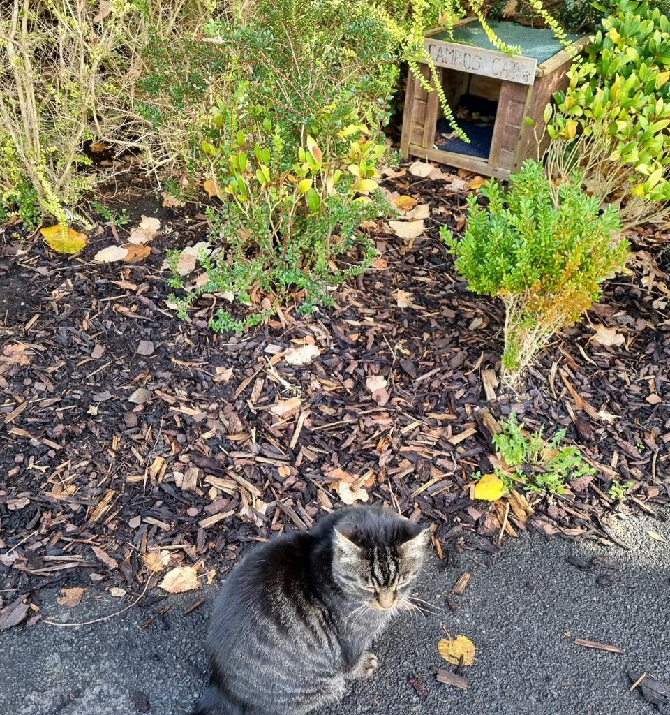 Campus cat on meet and greet at todays open day <a href="/edgehill/">Edge Hill University</a> <a href="/EdgeHill_Psych/">Edge Hill Psychology</a>