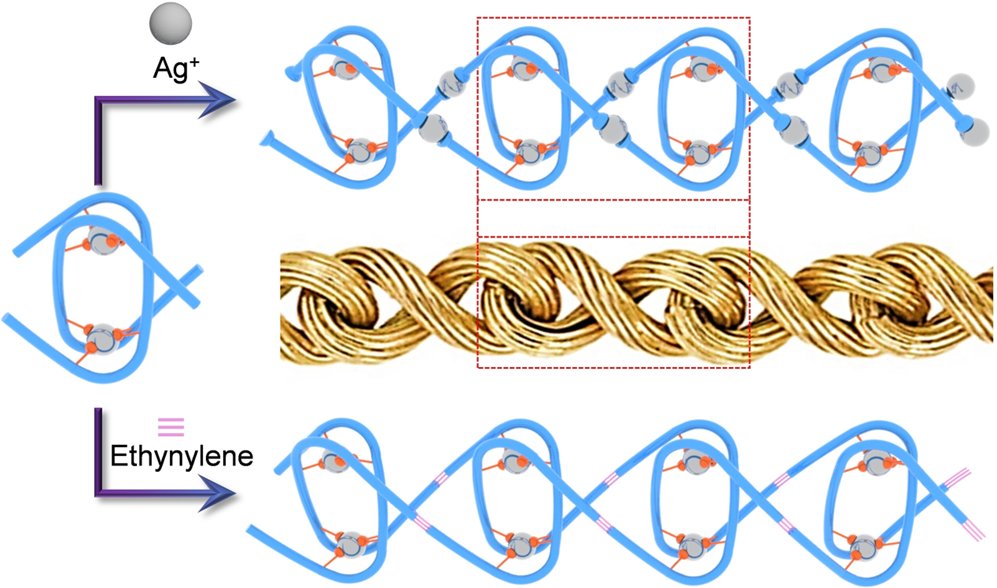 We are delighted to present the latest infinite figure-of-eight polycatenanes published in @angew_chem from our research group, dedicated to @Westlake_Uni on the occasion of its 5th anniversary onlinelibrary.wiley.com/doi/10.1002/an… Full text available from: researchgate.net/publication/37…