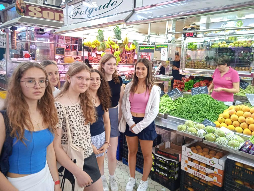 BSN Modern Languages tweet media