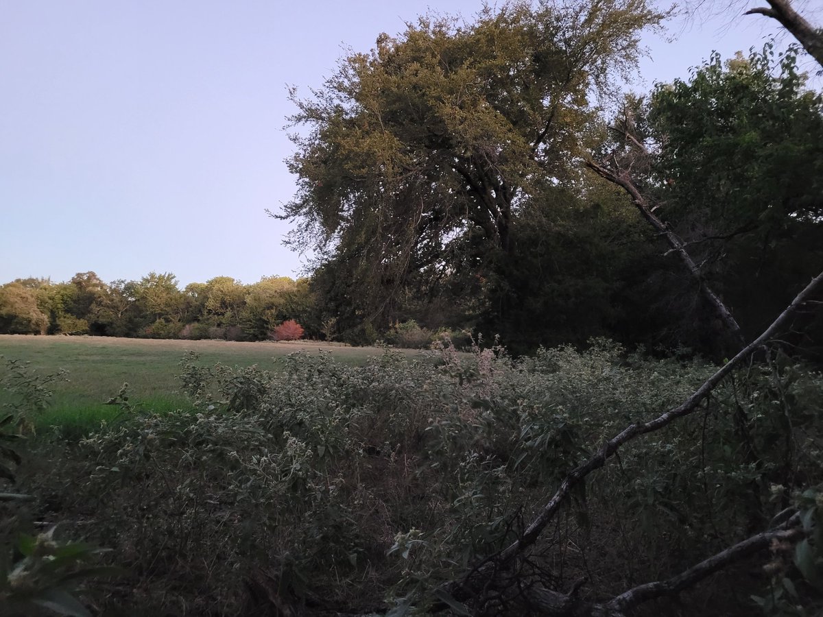 Hunt #10