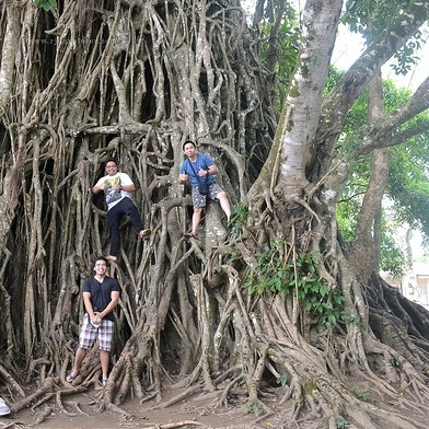 OUT NOW!

We're going deep into Phantom Hitchhikers in our second bonus episode on Resurrection Mary today! 

On Balete Drive in the Philippines theres said to be the ghost of a young woman who haunts taxi drivers specifically. Hear more at paranormalpod.co.uk!