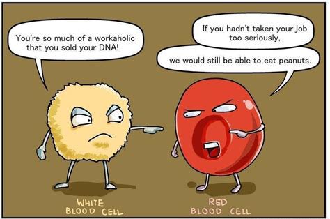 NicoGagelmann's tweet photo. Leukocyte and erythrocyte having an argument... https://t.co/Em5DdMiMs8