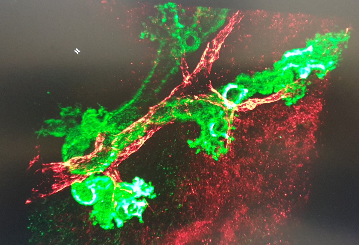 keppler_lab tweet media