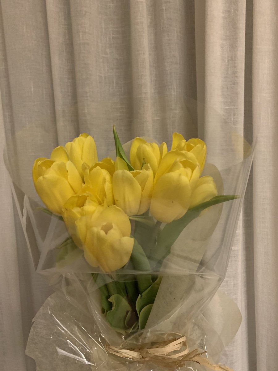 Me han regalado tulipanes🤭