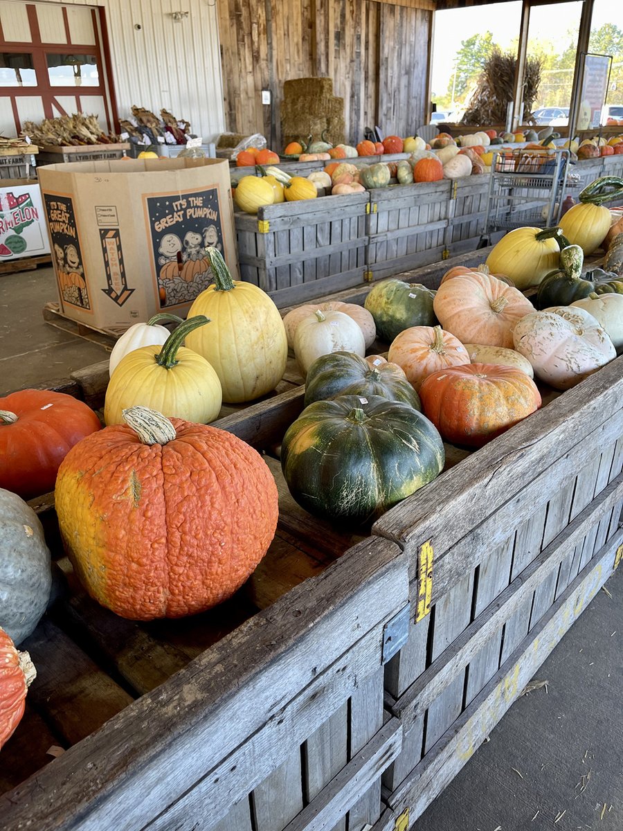 TaylorSpringsHC's tweet photo. Talk about a GOURD time!🎃 Our residents enjoyed themselves this week at Lynd’s Fruit Farm!🍎 #Legacy #TrilogyBFF #TaylorSpringsHC https://t.co/rObsPBolZ0