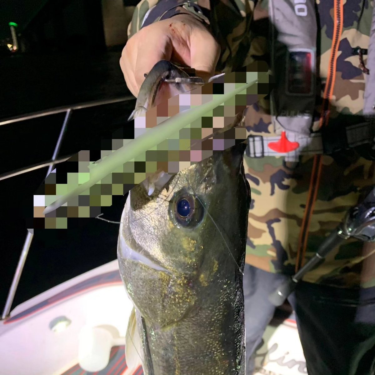 bgmasuo's tweet photo. 明日のシーバスフェスタで発表するエレメンツ新作ビッグベイトDB180。木曜日の夜、炸裂しまくりでした。
#DB180 @elmnts_jp #ビッグベイト #シーバスフェスタ2023 https://t.co/SEQ68Hr47K