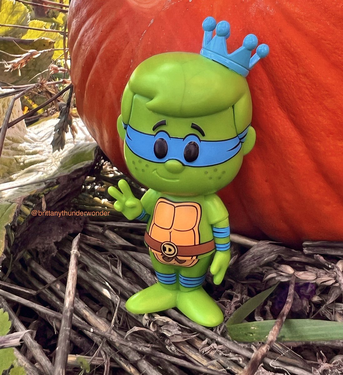 BThunderWonder's tweet image. Pumpkin time! #FreddyFunko #Funko #FunkoSodaSaturday #FunkoSoda #Leonardo #TMNT #PumpkinPatch #FunkoPhotoADay #FunkoPhotography @OriginalFunko @brianmariotti #Funkos