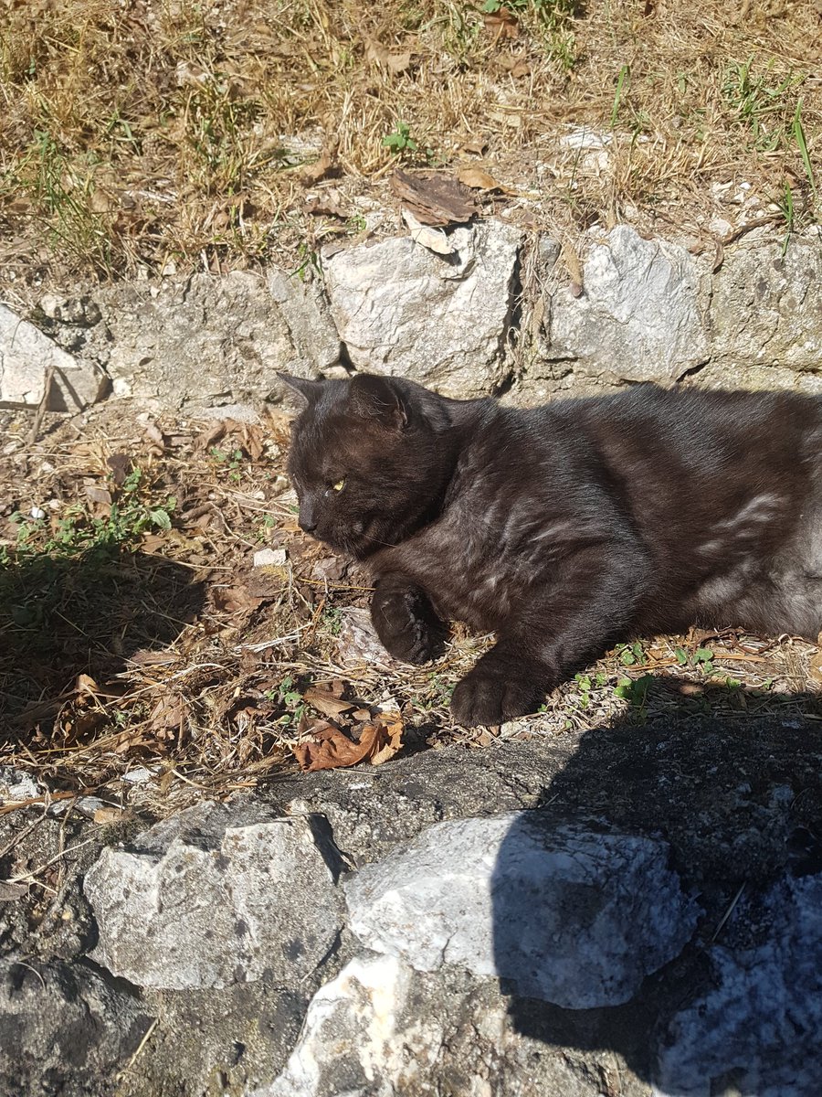 6packCukurova's tweet image. Je prišel neandertalve gledat... #muzej #Krapina