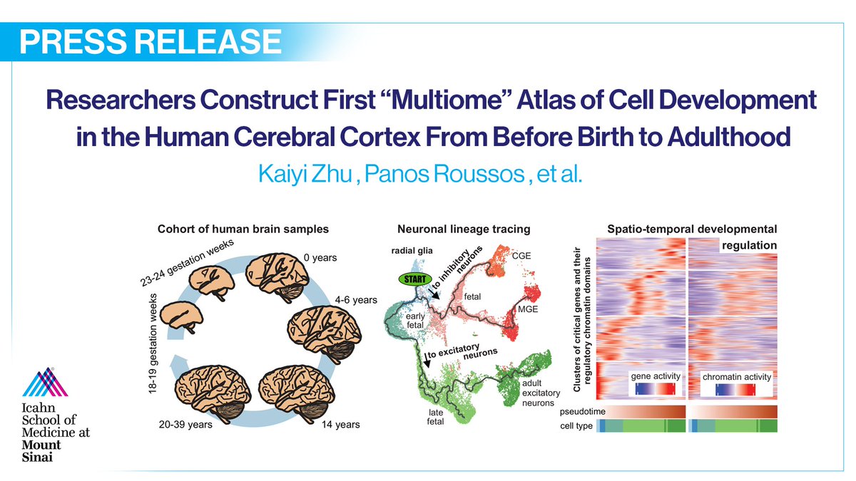 As part of an int'l team of researchers creating a detailed atlas of human brain cells, <a href="/IcahnMountSinai/">Icahn School of Medicine at Mount Sinai</a>'s Dr. <a href="/panos_roussos/">Panos Roussos</a>, et al. have constructed the First “Multiome” Atlas of Cell Development in Human Cerebral Cortex From Before Birth to Adulthood.👉 tinyurl.com/y6wesubv