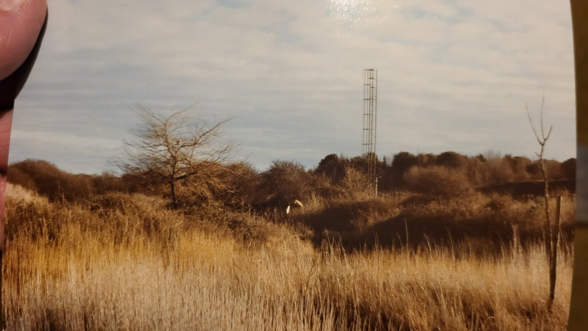 pilts1974's tweet photo. Long before Fowlmead and Betteshanger Country Park came to be, I'd often pay it a visit, and there was always something interesting to see.
Let me know if you spot itπ
#savebetteshanger https://t.co/aETWcYgt37