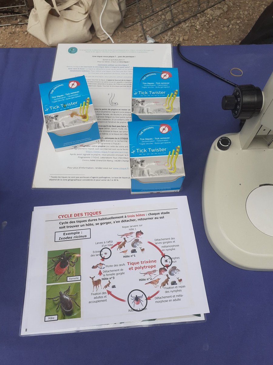 Thomas Pollet (@tickmicrobes) on Twitter photo Fête de la science à Montpellier, un moment d'échanges privilégié avec le public pour sensibiliser sur les vecteurs notamment les tiques et les agents pathogènes qu'elles transmettent @UmrAstre #collectifVecteurs <a href="/CleDefi/">DEFI CLE RIVOC</a> <a href="/INRAE_DPT_SA/">INRAE Santé Animale</a> <a href="/Cirad/">Cirad</a> Fête de la science à Montpellier, un moment d'échanges privilégié avec le public pour sensibiliser sur les vecteurs notamment les tiques et les agents pathogènes qu'elles transmettent @UmrAstre #collectifVecteurs <a href="/CleDefi/">DEFI CLE RIVOC</a> <a href="/INRAE_DPT_SA/">INRAE Santé Animale</a> <a href="/Cirad/">Cirad</a>