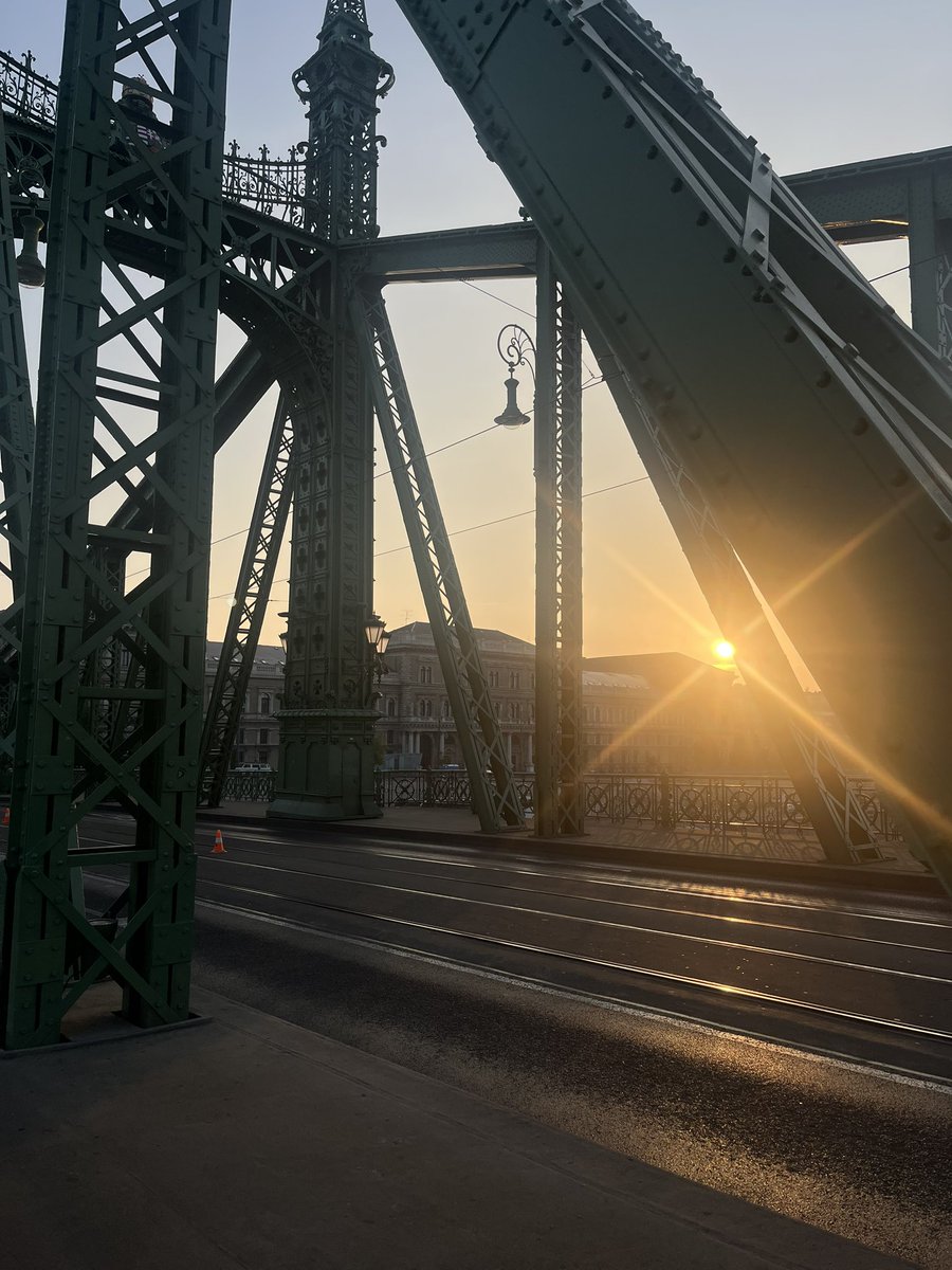 dodgsonj tweet media