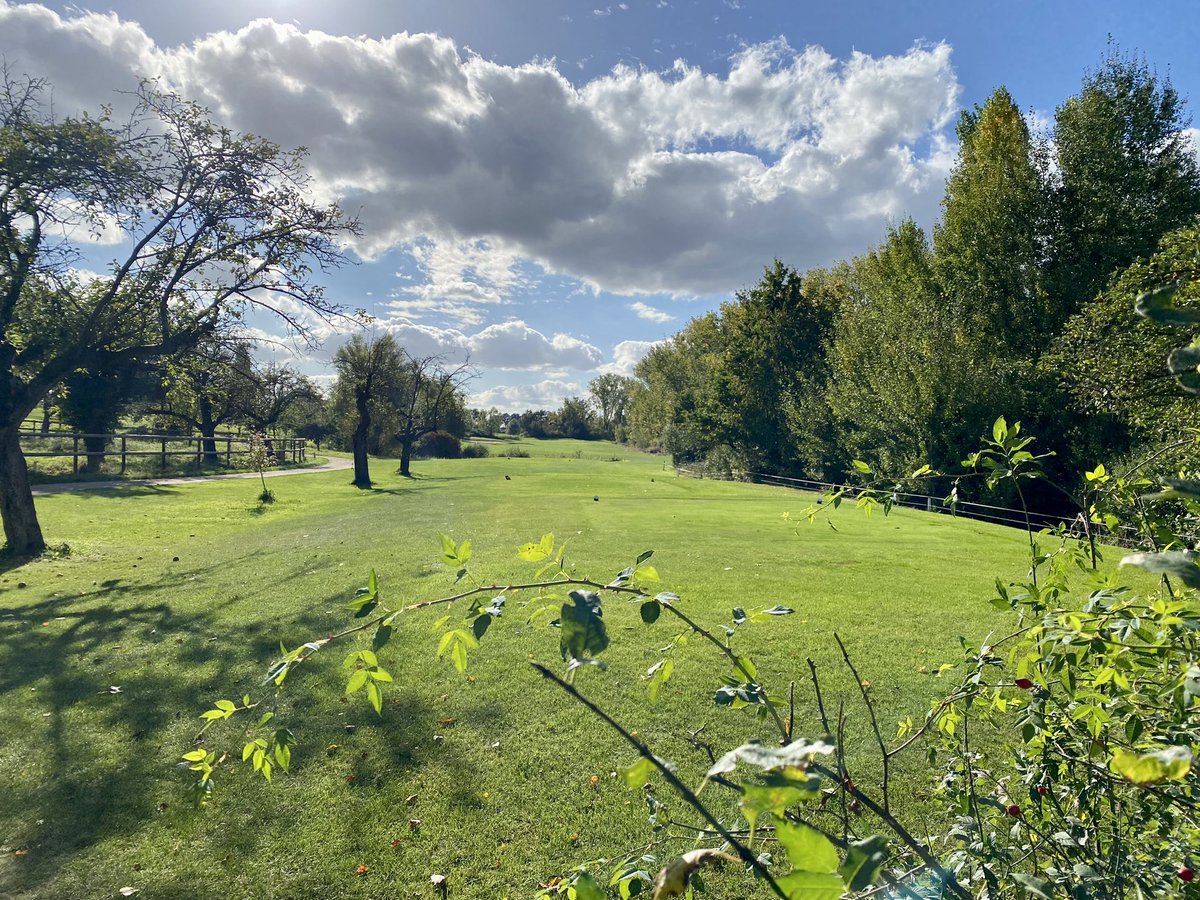 I ❤️ fall. Enjoying a nice round of golf.