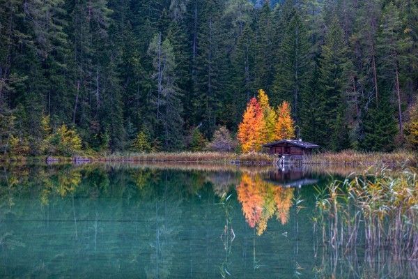 KampeerMagazine's tweet photo. In de herfst is de natuur rond de zeven dorpjes van de Tiroler Zugspitz Arena adembenemend mooi. Met zon, aangename temperaturen #bergwandelen #herfstseizoen #herfstwandelingen #wandelen #zugspitz https://t.co/m4WjDR65xF https://t.co/gOV7eQzroN