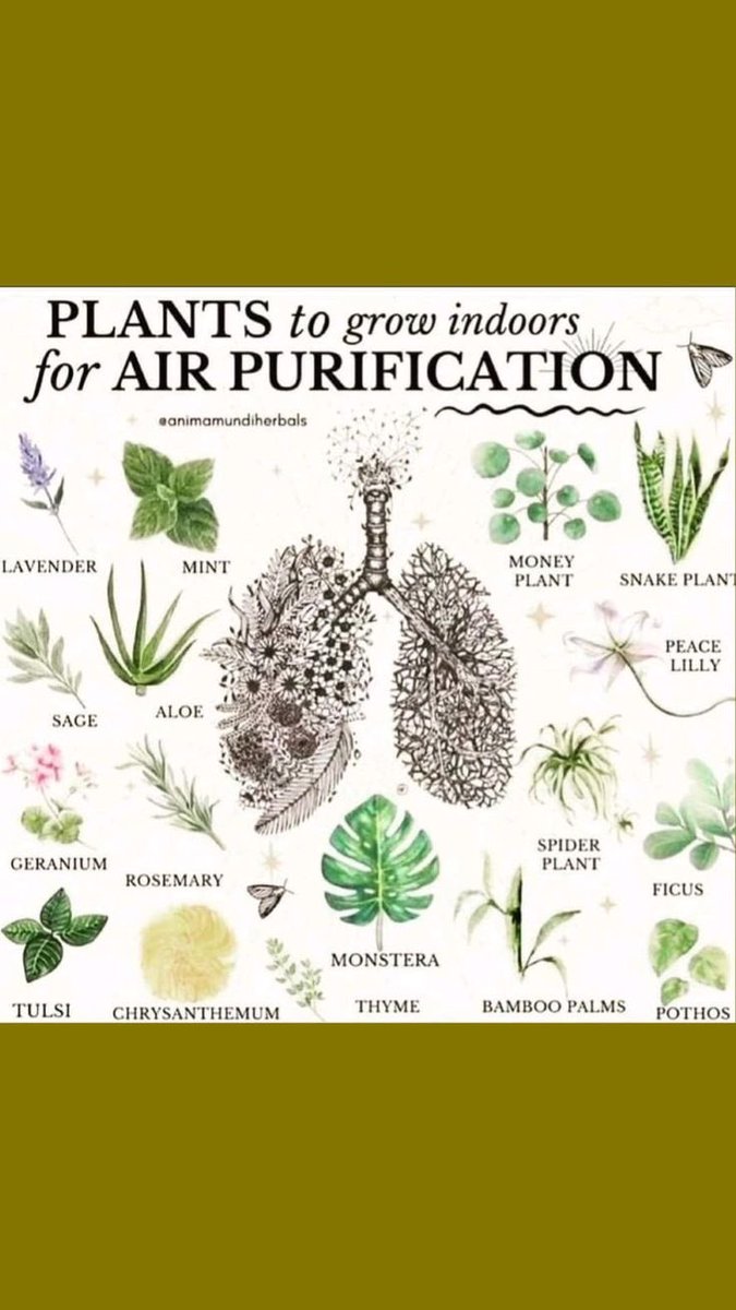 Julia Tobiason (@juliatobiason) on Twitter photo 