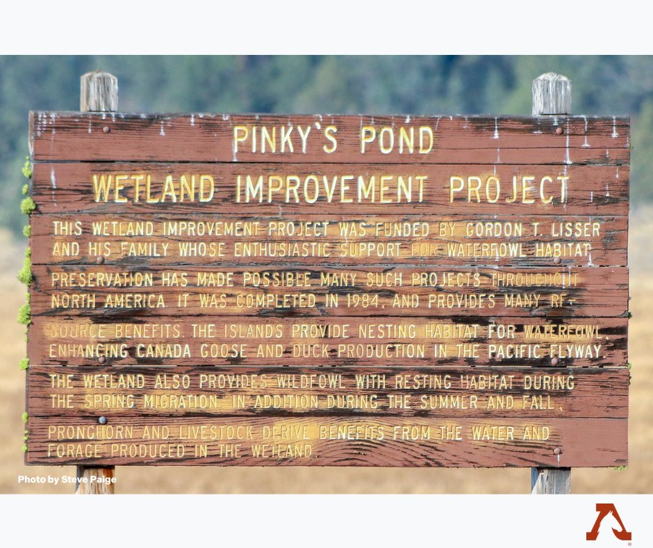 FreeWildHorses's tweet image. Did you know that a recent study from the Public Employees for Environmental Responsibility (PEER) found that livestock outnumber wild horses and burros on public lands by more than 125:1? 
#wetlands #cattleindustry #publicnarrative #wildliferemoval