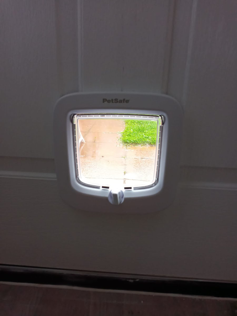 SheldrakeJessy's tweet image. Bailey and the new #catflap