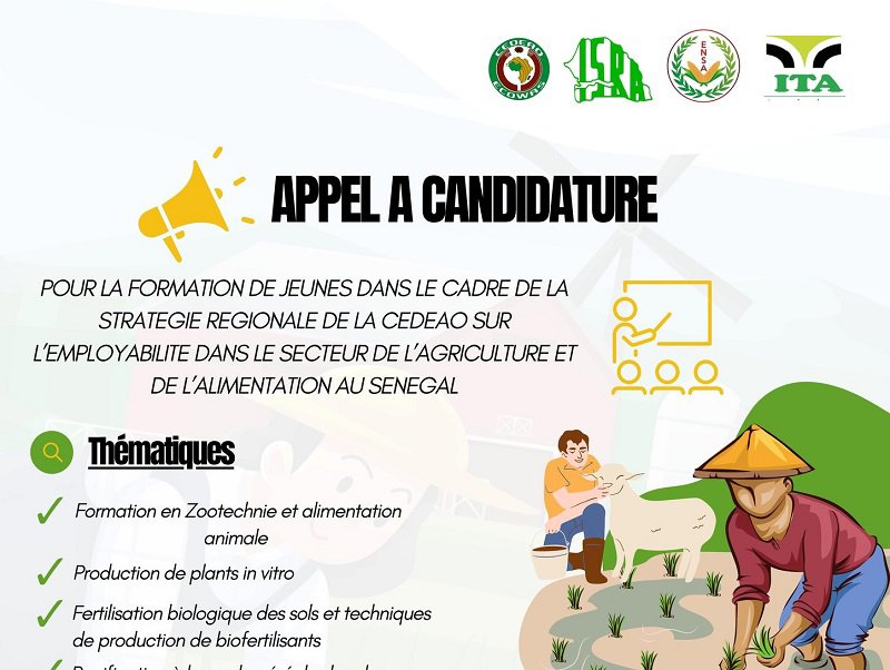 OpportunityDesk's tweet photo. Call for Applications

The program aims to strengthen the capacities of 100 young professionals and/or project leaders in the agricultural and agri-food development sector on 4 themes.

Details: https://t.co/NXwPX61CjS | Deadline: Oct 31 https://t.co/n28twwqpln