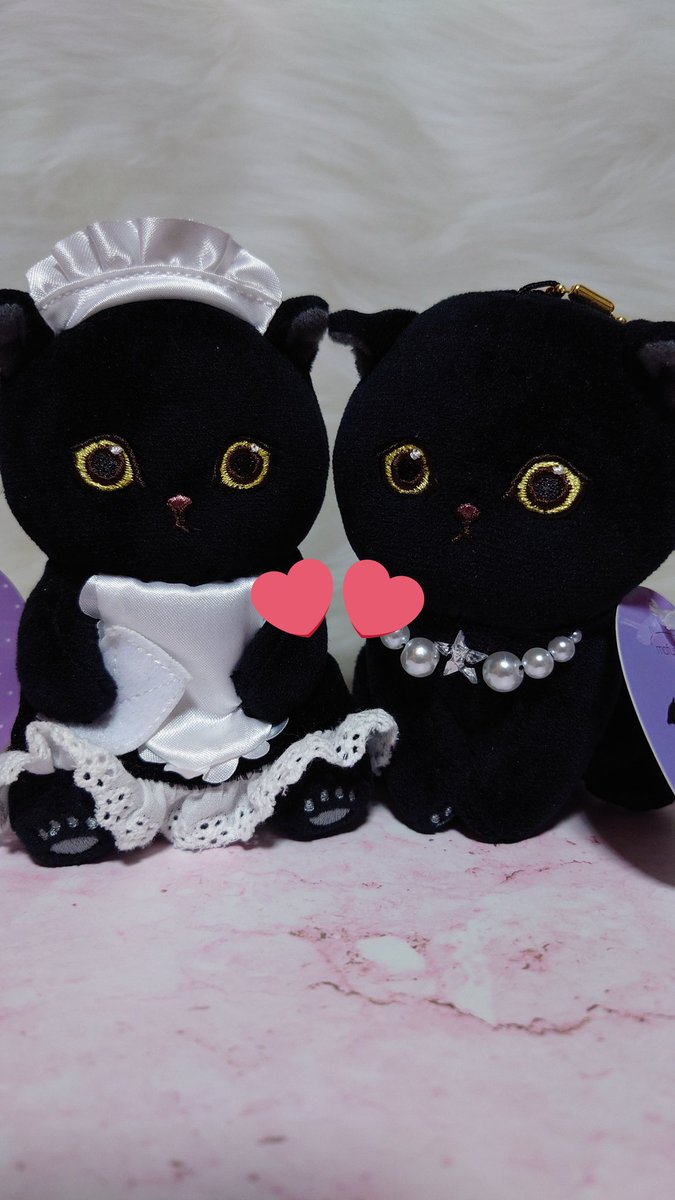 aq_8900's tweet photo. @mofu_sand 黒ねこちゃん大好きなのでハロウィンの時期になるとグッズが増えて嬉しいです🩷 https://t.co/GGJDiZcvzZ
