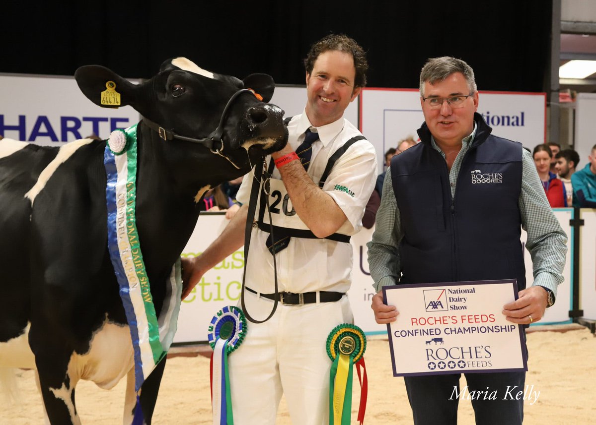 AXA National Dairy Show 

Confined Championship Sponsored by Roches Farm Feeds 

CHAMPION - Robinview Pharo Candy 474 exhibited by Michael McGrath 
RESERVE - Cunniamstown Mimis Hagley exhibited by Richard Skehan
HONOURABLE MENTION – Lisbrack Flame 18 exhibited by Richard Skehan