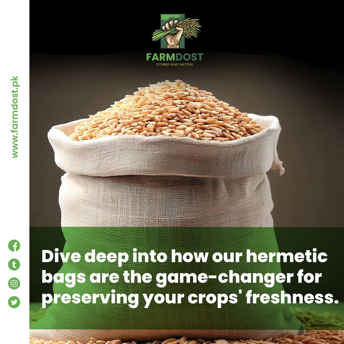farm_dost's tweet photo. Discover #FarmDost's hermetic bags! Protect your crops, keep them fresh. A game-changer for Pakistani farmers. 🌾🔐 #SafeStorage #agriculture https://t.co/KpGx2ei7MU