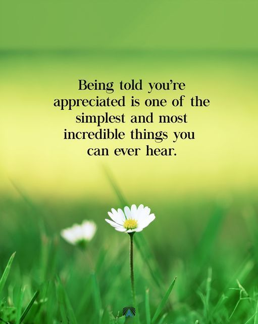 DCSC Inc. tweet media