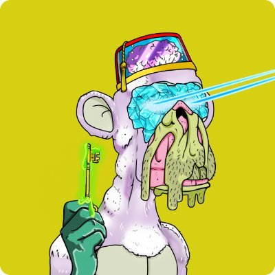 thamir_eth's tweet photo. monkey with a key😆😁😄 https://t.co/pbGpXAs0QL