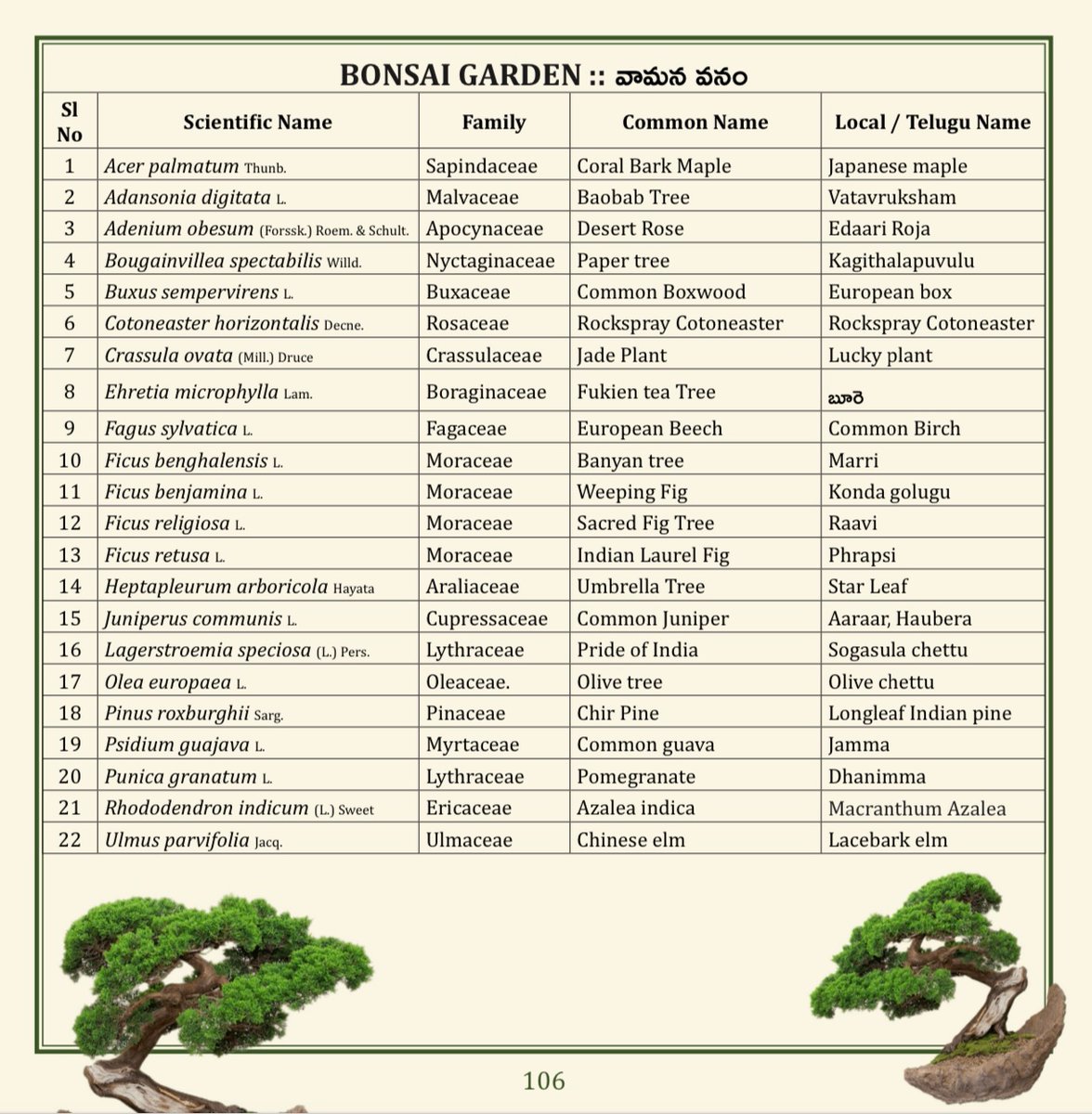(43/75) BONSAI GARDEN
<a href="/TSFDCL/">Telangana Forest Development Corporation Ltd</a>
<a href="/HarithaHaram/">Telangana Forest Dept.</a>
<a href="/FCRIHyderabad/">FCRI Hyd Telangana</a>
<a href="/TelanganaCMO/">Telangana CMO</a>
<a href="/PMOIndia/">PMO India</a>
<a href="/bsi_moefcc/">Botanical Survey of India</a>
<a href="/bgci/">Botanic Gardens Conservation International</a>
<a href="/UNBiodiversity/">UN Biodiversity</a>
<a href="/FAOclimate/">FAO Climate Change & Biodiversity</a>
<a href="/UNEP/">UN Environment Programme</a>
<a href="/RoyalBotanical/">Royal Botanical</a>
<a href="/IcfreIndia/">Indian Council of Forestry Research and Education</a>
<a href="/RoyalBotanical/">Royal Botanical</a>
<a href="/TreesforCities/">Trees for Cities</a>