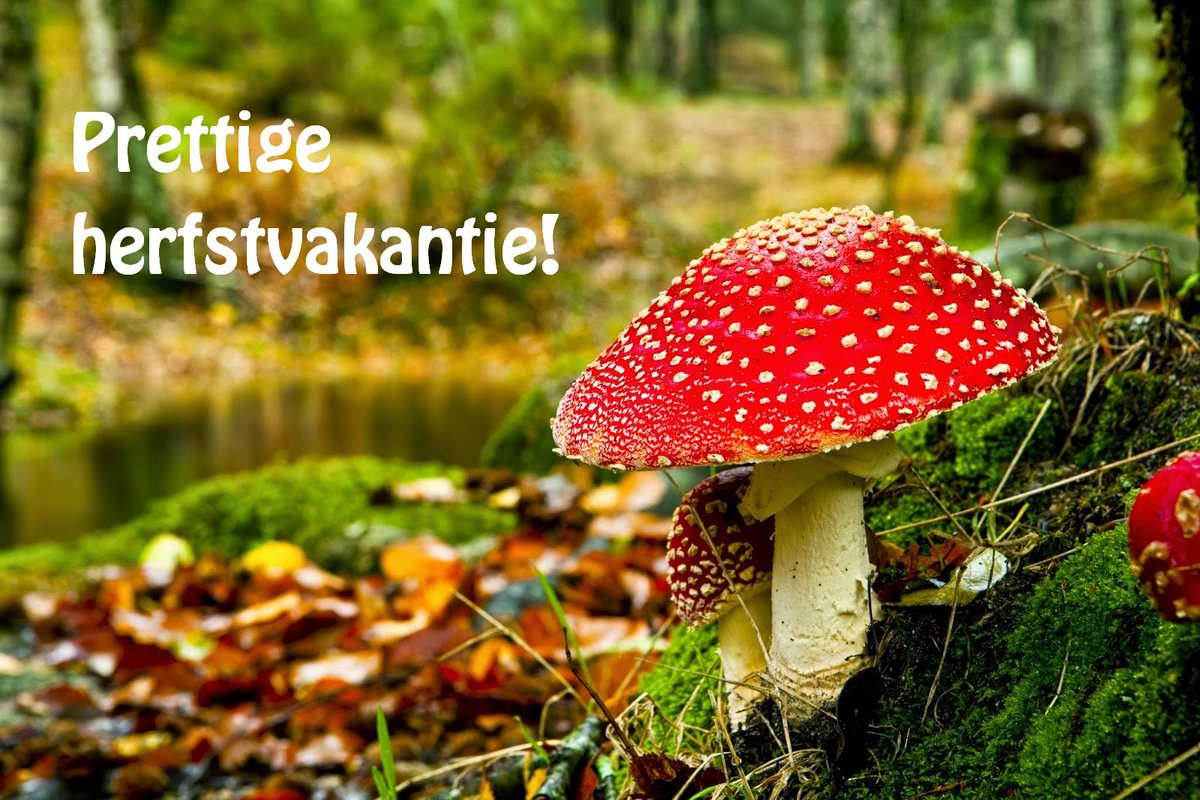 Geniet van een heerlijke vakantieweek!
