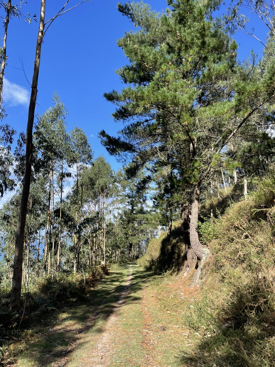 Sitios como Asturies pocos