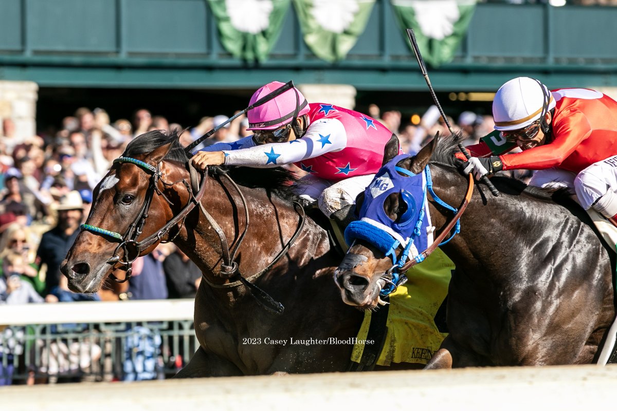 casey_laughter's tweet photo. #RaiseCain (Violence) gets the win in the Listed Perryville Stakes for trainer #BenColebrook and owners Andrew & Rania Warren. The 3yo colt won the G3 Gotham in New York in January. https://t.co/cdPQFdZnyh