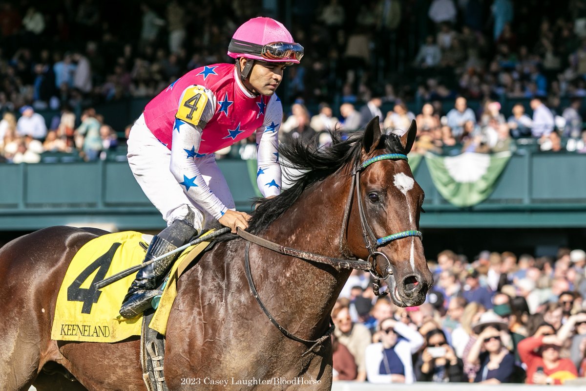 casey_laughter's tweet photo. #RaiseCain (Violence) gets the win in the Listed Perryville Stakes for trainer #BenColebrook and owners Andrew & Rania Warren. The 3yo colt won the G3 Gotham in New York in January. https://t.co/cdPQFdZnyh