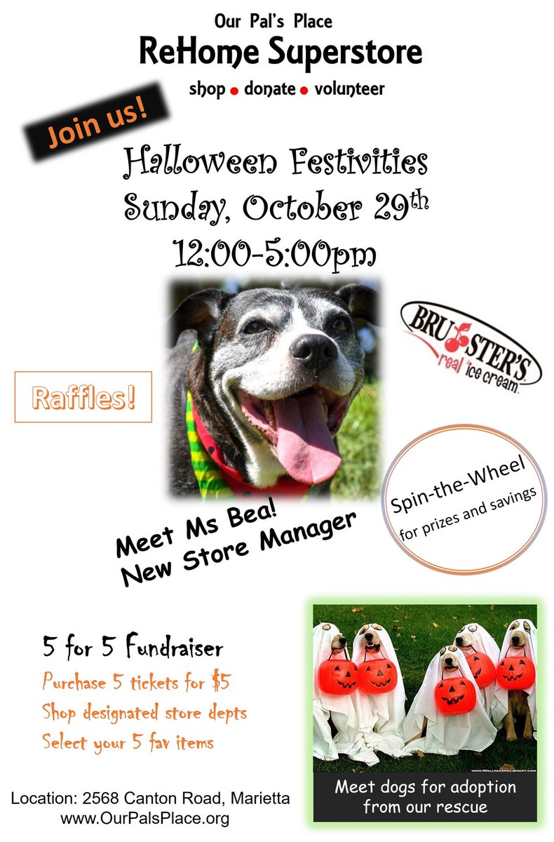 Come join the Halloween festivities at ReHome Superstore, and support Our Pal's Place on **Sunday October 29th, 12-5 p.m.**
*meet dogs for adoption
*5 for 5 fundraiser
*raffles
*spin-the-wheel for prizes &amp; savings