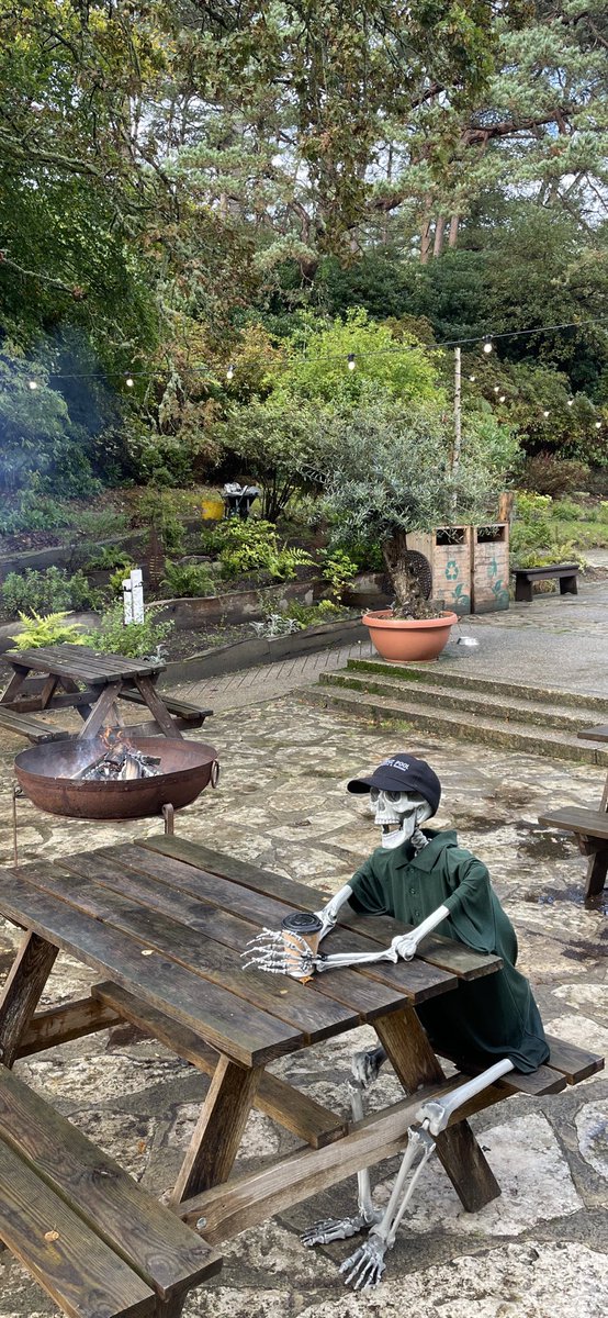 Halloween at The Blue Pool - The ghosts, ghouls and witches have all arrived for a haunting Half Term 💀🎃😈
With petrifying pumpkin carving, chilling hot chocolates and spooky woodland walks for all ages... visit us for a 'terrible' time this October!!!