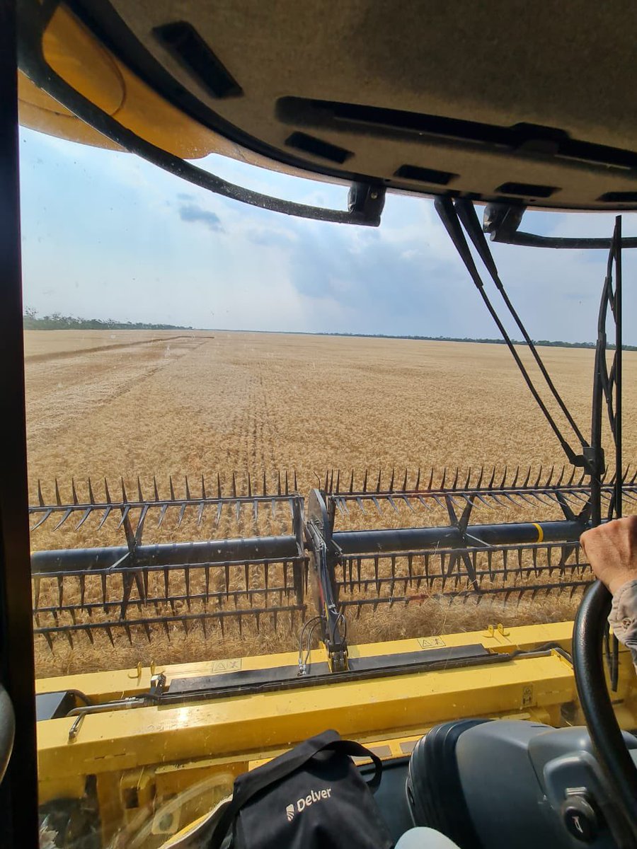 Arrancado cosecha en Chaco y Norte de Santa Fe! El calor 🥵 antes de la lluvia!! Primer cosecha 23-24! En Man Agro cosechamos los 12 meses del año! El #camponopara