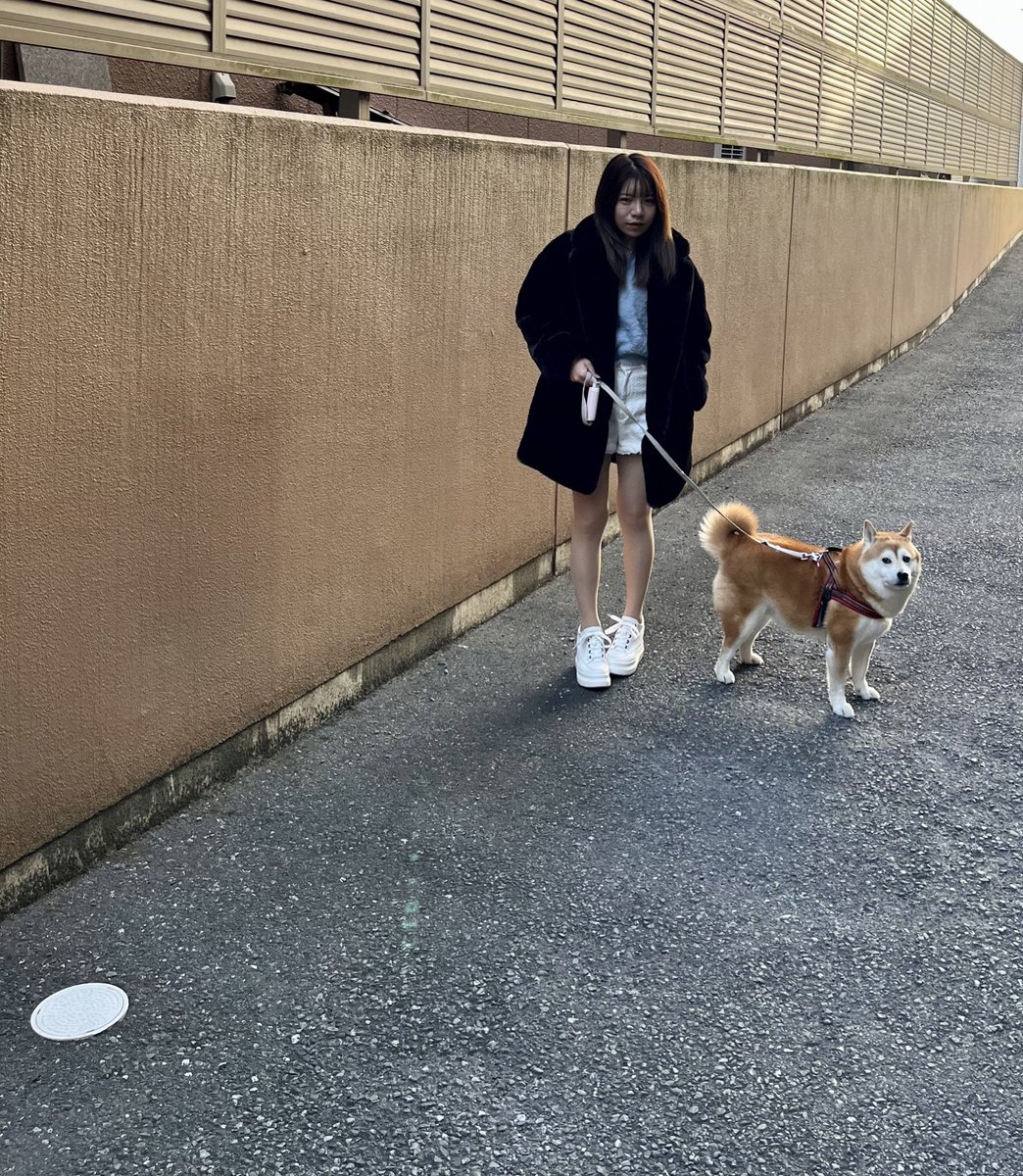 o_momo0201's tweet photo. 朝の散歩は寒くなってきたから
zaraのファーコート😘
#zara
#fashion
#coodinate
#coode
#コート
#ファー
#ファーコート
#柴犬
#愛犬
#お散歩 https://t.co/jJhyd1cBJE