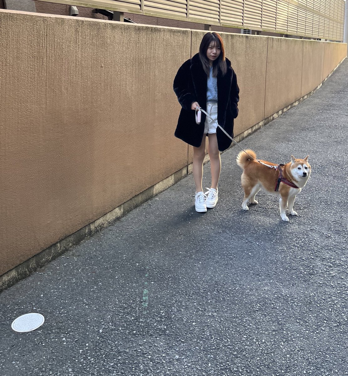 o_momo0201's tweet photo. 朝の散歩は寒くなってきたから
zaraのファーコート😘
#zara
#fashion
#coodinate
#coode
#コート
#ファー
#ファーコート
#柴犬
#愛犬
#お散歩 https://t.co/jJhyd1cBJE