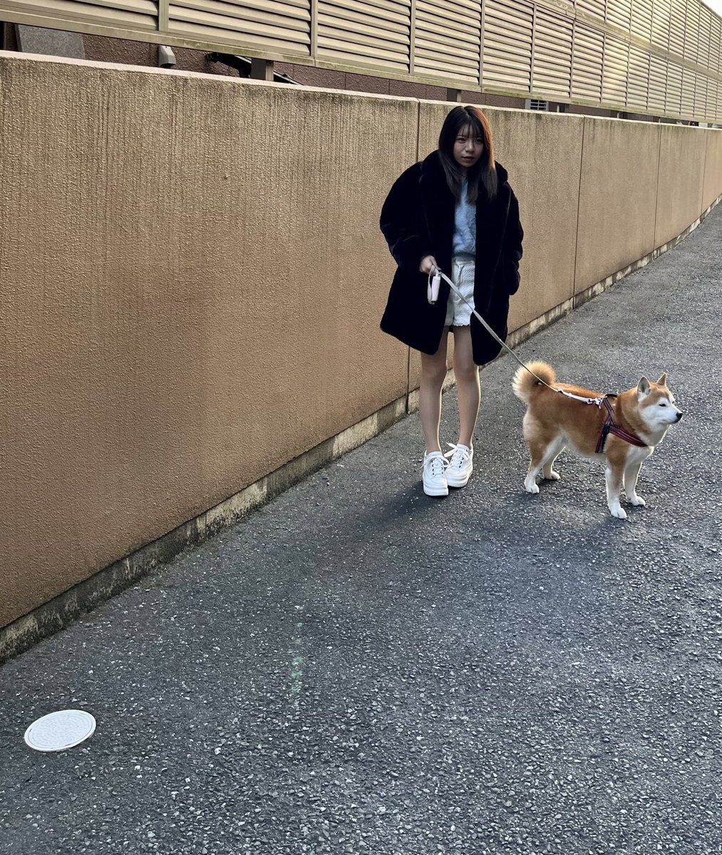 o_momo0201's tweet photo. 朝の散歩は寒くなってきたから
zaraのファーコート😘
#zara
#fashion
#coodinate
#coode
#コート
#ファー
#ファーコート
#柴犬
#愛犬
#お散歩 https://t.co/jJhyd1cBJE