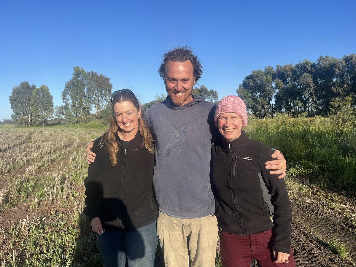 TrackingAPSnipe's tweet image. WE JUST GOT ONE! It is our absolute pleasure to introduce GLORIA, the first ever Australian Painted-snipe to be tracked. Thanks to EnviroKey.com.au for the sponsorship and to all who’ve helped make this possible. More to come …