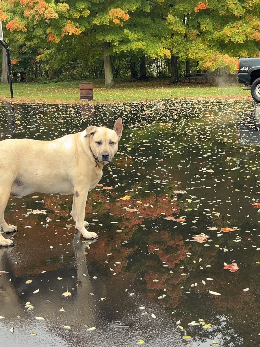 YobgoD's tweet image. Had some good light &amp;amp; conditions today. #fallfilter