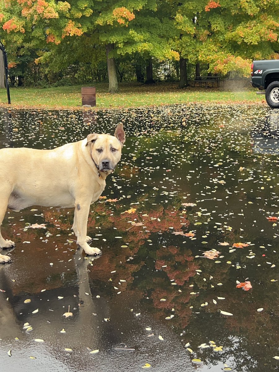 YobgoD's tweet image. Had some good light &amp;amp; conditions today. #fallfilter