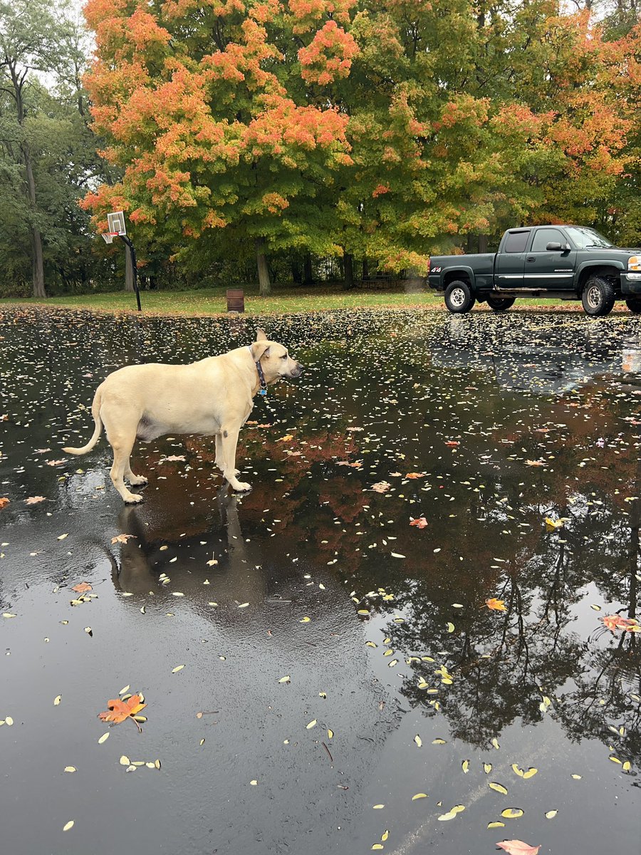 YobgoD's tweet image. Had some good light &amp;amp; conditions today. #fallfilter